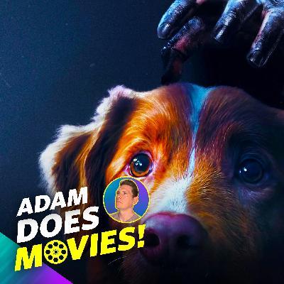 Good Boy - Movie Review