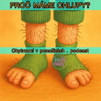 SPECIÁL PRO CHYTROUNY: PROČ MÁME CHLUPY?