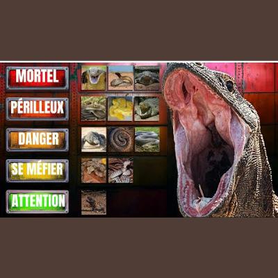 Voici les reptiles les plus mortels au monde