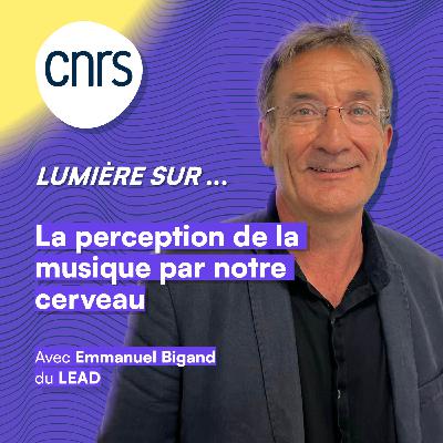 Lumière sur... la perception de la musique par notre cerveau