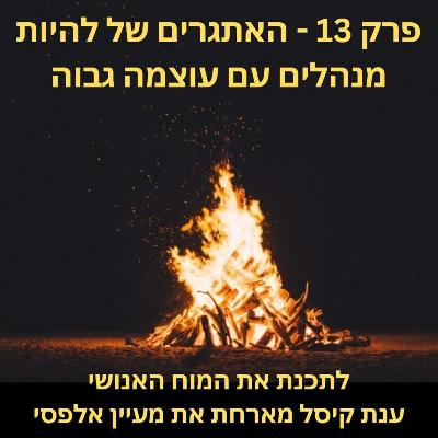 פרק 13 - האתגרים של להיות מנהלים עם עוצמה גבוהה