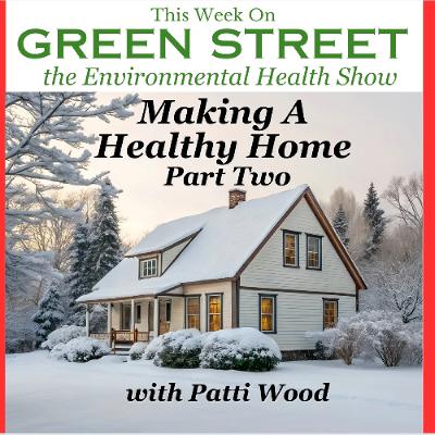 Making a Healthy Home - Part Two
