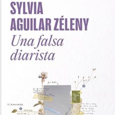 Una falsa diarista.