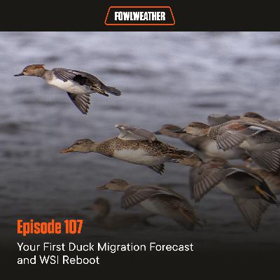 Ep. 107 – Your 1st Duck Migration Forecast and WSI Reboot