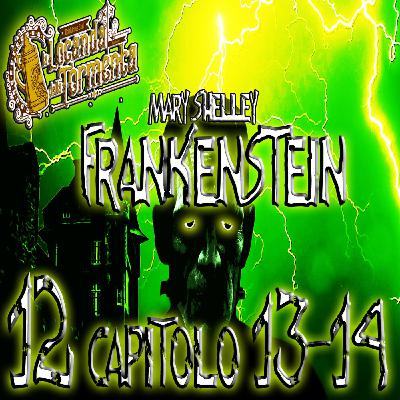 Audiolibro Frankenstein - 12 Capitolo 13-14 - Mary Shelley Audiolibro Frankenstein - 12 Capitolo 13-14 - Mary Shelley