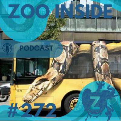 Zoo Inside #272 - Nieuws & Zoo Zoo Inside #272 - Nieuws & Zoo