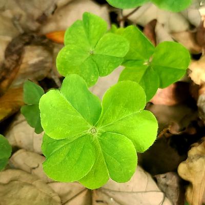 EP.28 耶誕跨年的人生喜怒哀樂 EP.28 耶誕跨年的人生喜怒哀樂