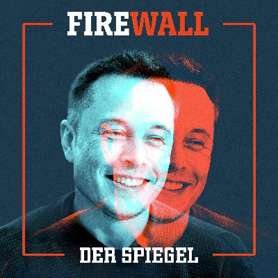 Systemsprenger Elon Musk (1/3): Ein Draufgänger im Silicon Valley