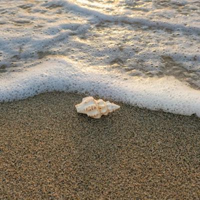 Episode 1632 - Jarvis Kingston US Israel Iran War Tehran Isfahan Qom Karaj Kermanshah Khamenei Pakistan Afghanistan War Taliban UAE Bahrain Episode 1632 - Jarvis Kingston US Israel Iran War Tehran Isfahan Qom Karaj Kermanshah Khamenei Pakistan Afghanistan War Taliban UAE Bahrain