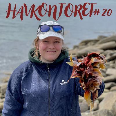 Havkontoret 20 - Fesk-Kjerringa - Veronica Furnes Oppsahl