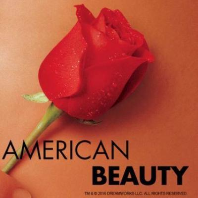 Let's Review American Beauty .av Let's Review American Beauty .av