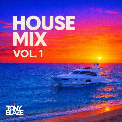 HOUSE MIX VOL.1