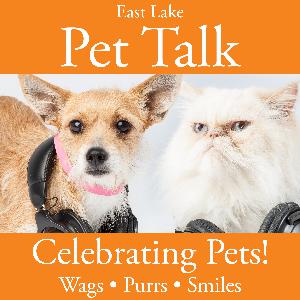East Lake Pet Talk Podcast Episode 35: Dora the Cat Matchmaker