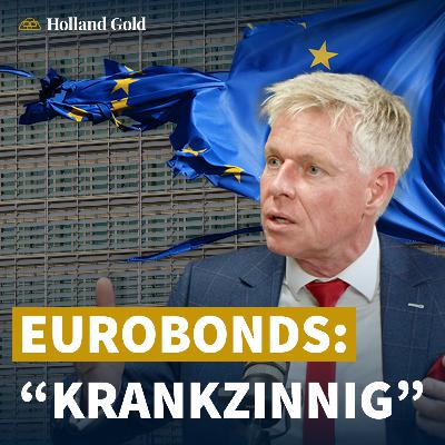 Wat is er mis met de EU? Rob Roos over Privacy, Vrijheid, Eurobonds & de Europese Economie
