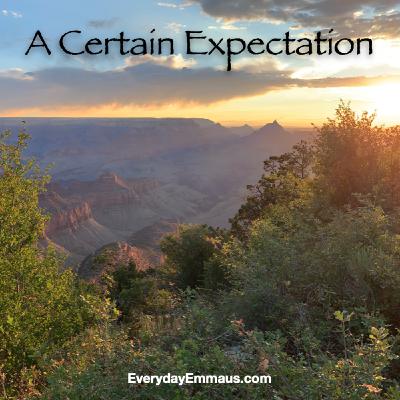 Episode 45: A Certain Expectation Episode 45: A Certain Expectation