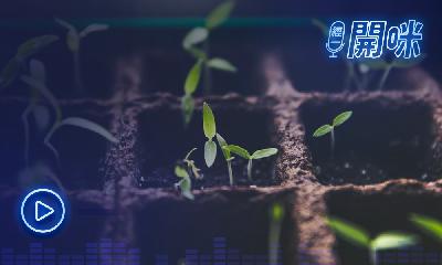 【散戶選股教學】簡單學睇市盈率PE愈高代表… ｜投資新手班｜龔成