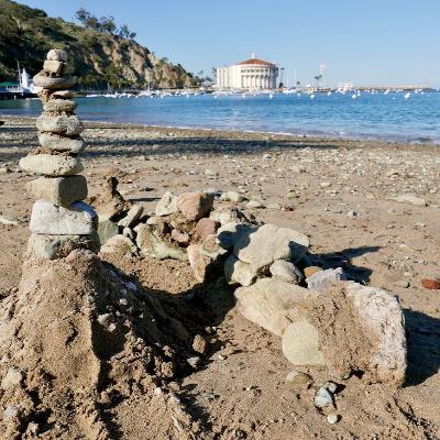 Ep. 36: The mysteries of Catalina and coronavirus' food for thought