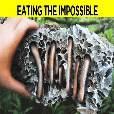 Animals Evolved to Eat Deadly Food Animals Evolved to Eat Deadly Food