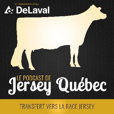Transfert vers la race Jersey