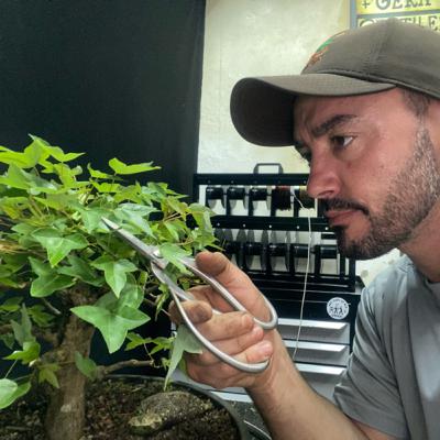 A História do ABC do Bonsai