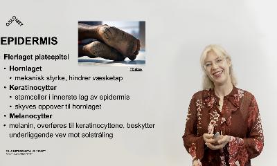 Hudens anatomi og fysiologi del 1/3