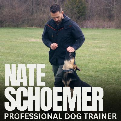 Ep. 22 - Live Q&A: How to Teach Focus and Communication in Dog Training