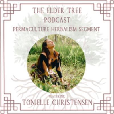 153. Patterns in Nature, Patterns in Practice: A Permaculture Herbal Conversation with Tonielle Christensen (and new co-host Taj Scicluna) 153. Patterns in Nature, Patterns in Practice: A Permaculture Herbal Conversation with Tonielle Christensen (and new co-host Taj Scicluna)
