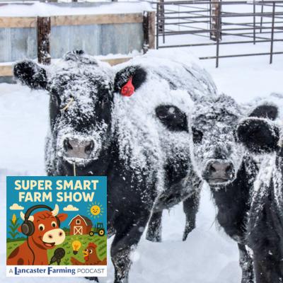 How Do Farm Animals Stay Warm in the Winter?