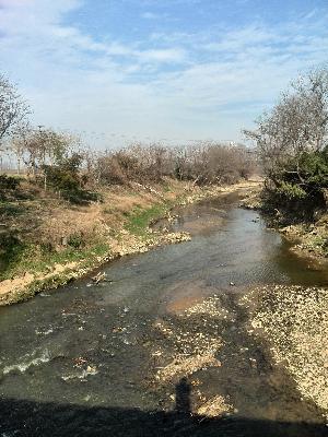 【直播回听】全本古文观止,我真说完了 【直播回听】全本古文观止,我真说完了