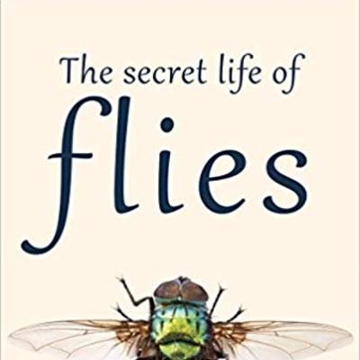 Episode 35: Busting Myths about Flies