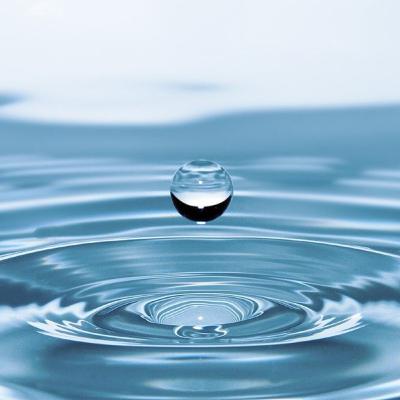 La contaminación del agua