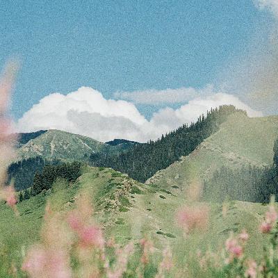 《荒野之境》 《荒野之境》