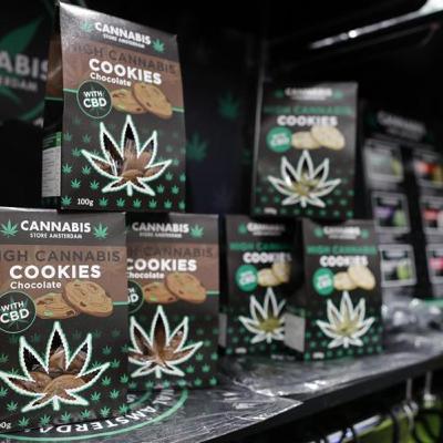 Cannabis Light ILLEGALE e sistema scolastico sbagliato - Alfabetismo Funzionale