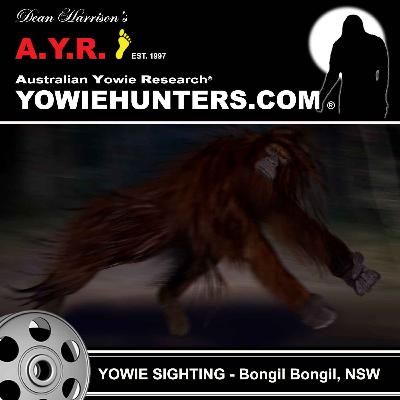 Yowie Sighting at Bongil Bongil, New South Wales - 2008