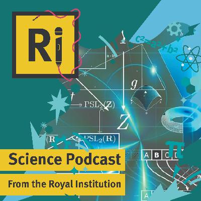 From the Lab: How mathematics is powering medical innovation – with Becky Shipley From the Lab: How mathematics is powering medical innovation – with Becky Shipley