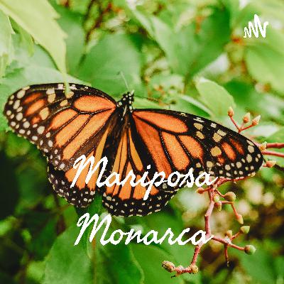 Mariposa Monarca
