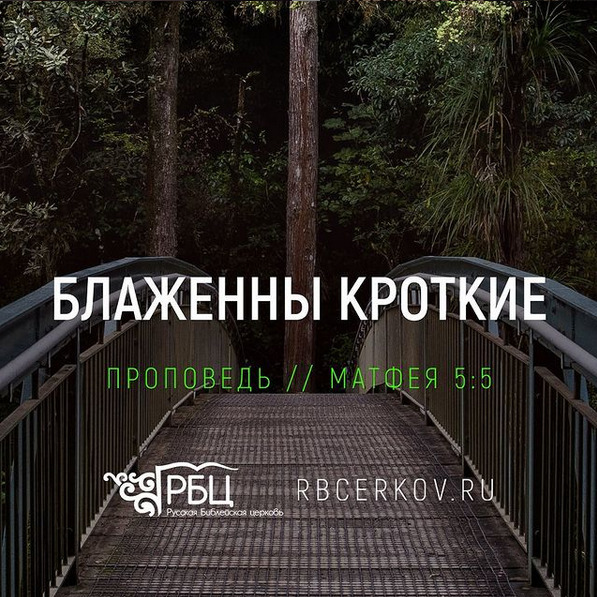 Блаженны кроткие. Дмитрий Лихих episode artwork
