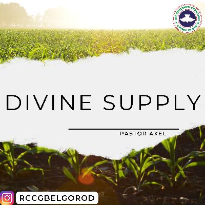 DIVINE SUPPLY
