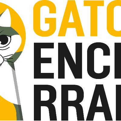 Cuando el femicida se mata: “No siente culpa, sella su dominio” Cuando el femicida se mata: “No siente culpa, sella su dominio”
