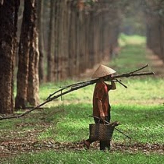 orang kampung