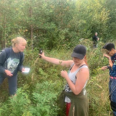 Reaching Into The Matrix