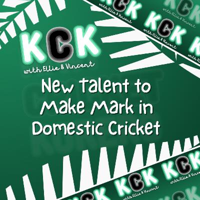New Talent to Make Mark in Domestic Cricket