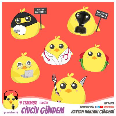 Bölüm 28 - 9 Temmuz 2022 | Haftanın Hayvan Hakları Gündemi