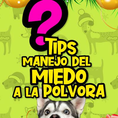 Manejo De Miedo A La Pólvora