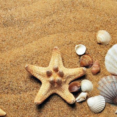 on the surfing sand