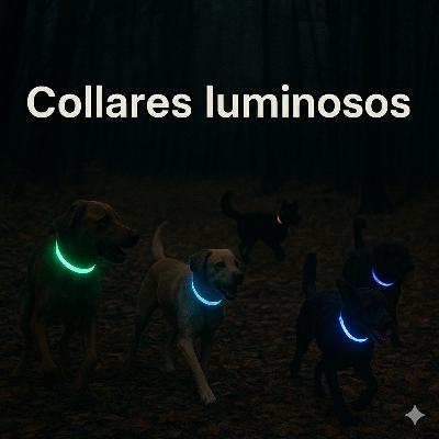 Collares Luminosos Collares Luminosos