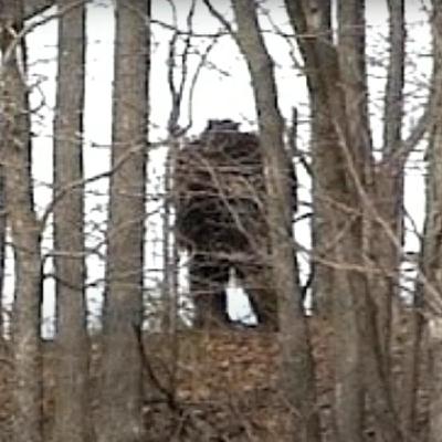 Ep. 90: Cryptids [TEASER]