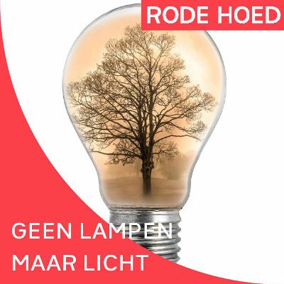 Geen Lampen, Maar Licht!