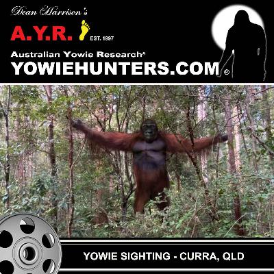 Yowie Sighting at Curra, Queensland 2015 & Barjarg, Victoria