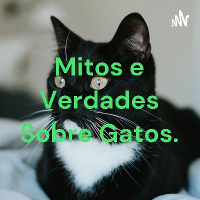 Mitos e Verdades sobre Felinos.